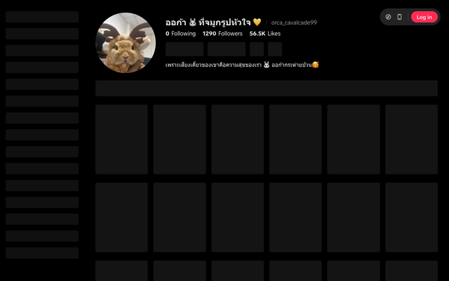 ภาพหน้าเว็บ tiktok.com