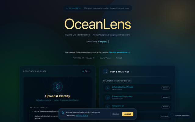 ภาพหน้าเว็บ OceanLens - AI Marine Life Identification